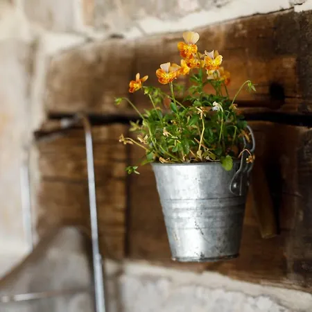 Capri House Дом отдыха Сегет-Враница