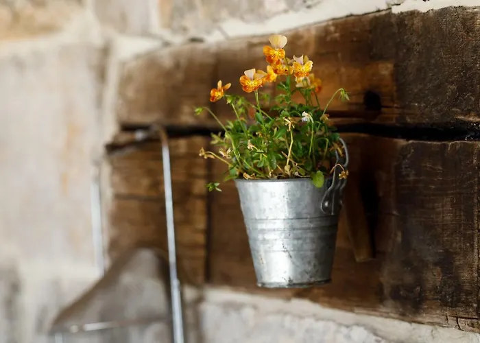 Capri House Vikendica Seget Vranjica